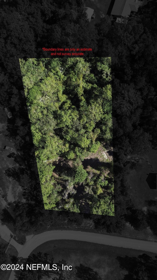 4644 Hedgehog St, Middleburg, FL 32068