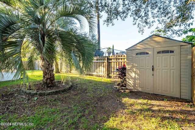 view of yard with a storage shed