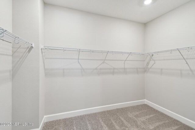 75582 Banyan Way, Yulee, FL 32097 - walk in closet with carpet