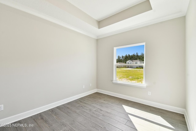 75582 Banyan Way, Yulee, FL 32097 - empty room with a tray ceiling, baseboards, and wood finished floors