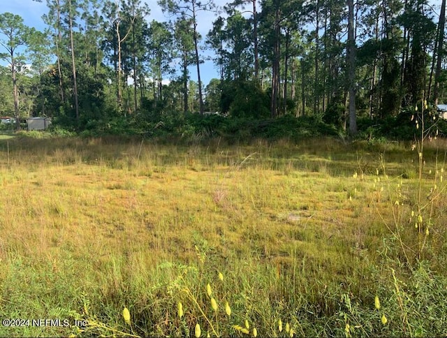 124 Pineshore Rd, Satsuma FL, 32189 land for sale