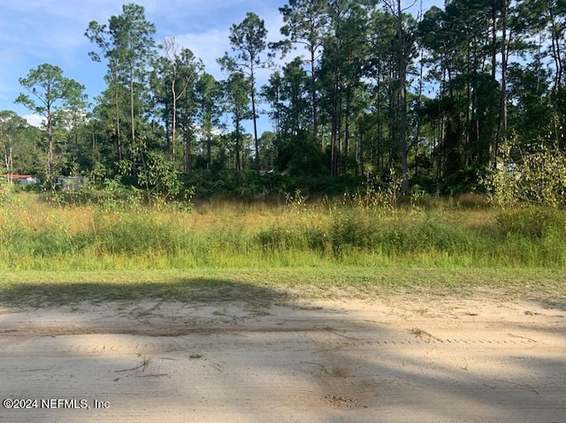 Listing photo 3 for 124 Pineshore Rd, Satsuma FL 32189