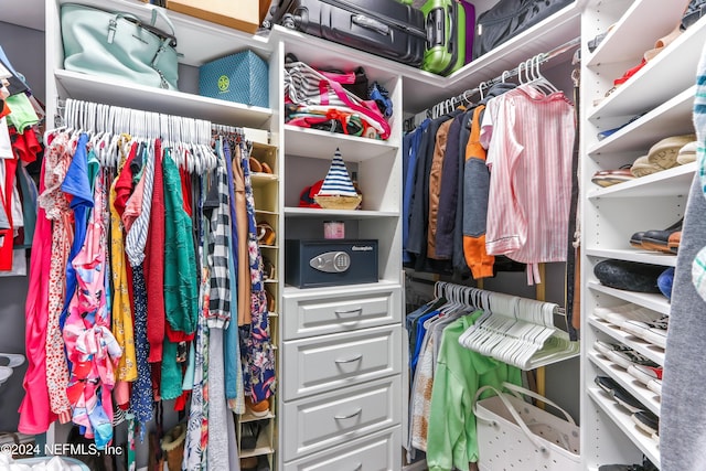 view of spacious closet