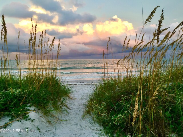 water view featuring a beach view