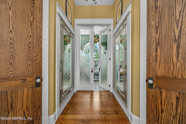 doorway to outside featuring dark hardwood / wood-style flooring