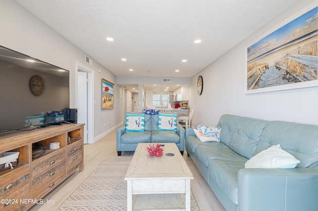 living room featuring light hardwood / wood-style flooring