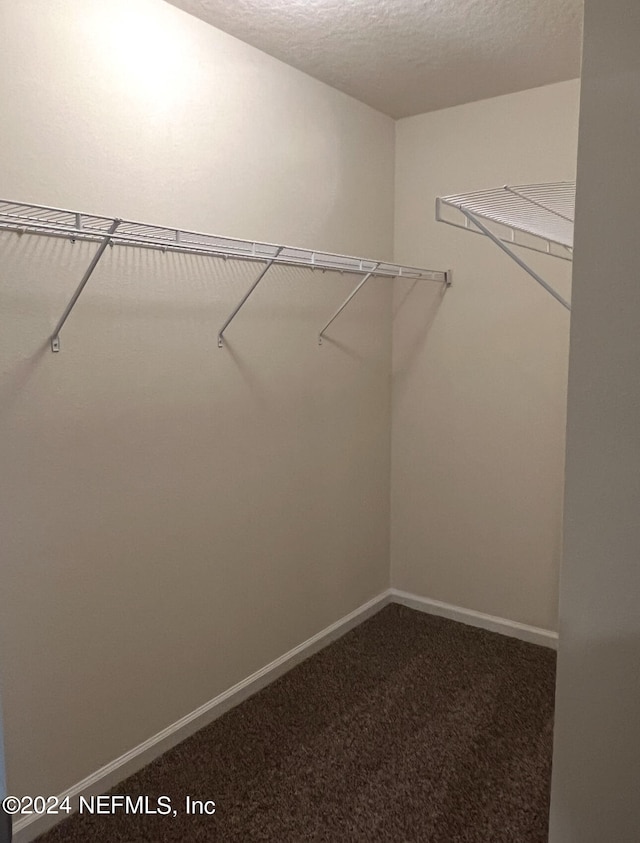 walk in closet with carpet