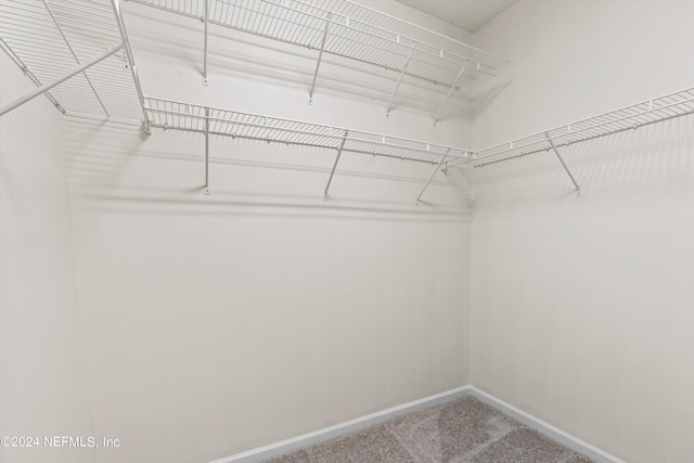 spacious closet with carpet floors