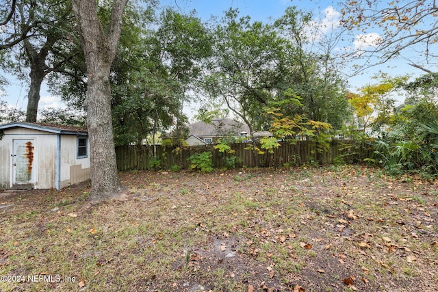 view of yard with a shed