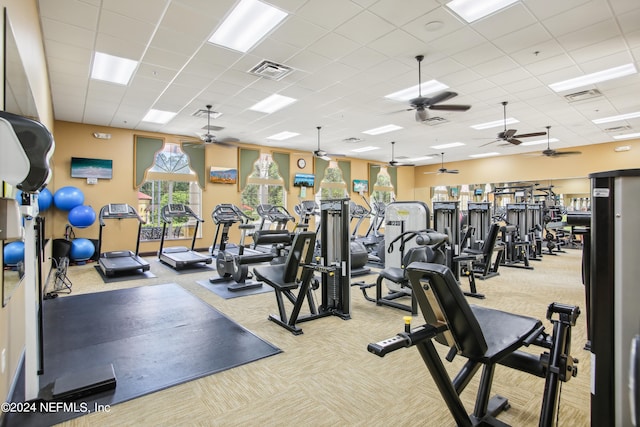 gym featuring a paneled ceiling and light colored carpet