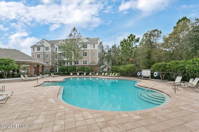 view of pool featuring a patio