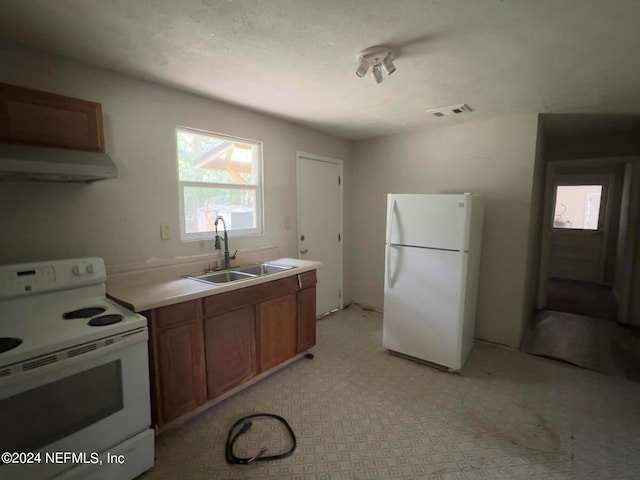 kitchen featuring exhaust hood, sink, and white appliances