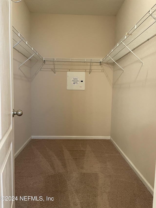 walk in closet with carpet floors