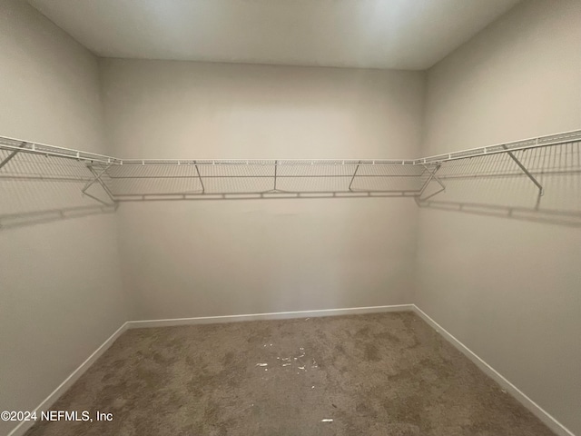 spacious closet with carpet