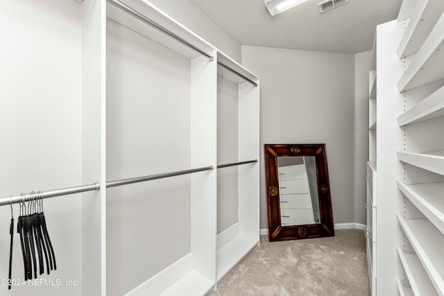 spacious closet with light carpet