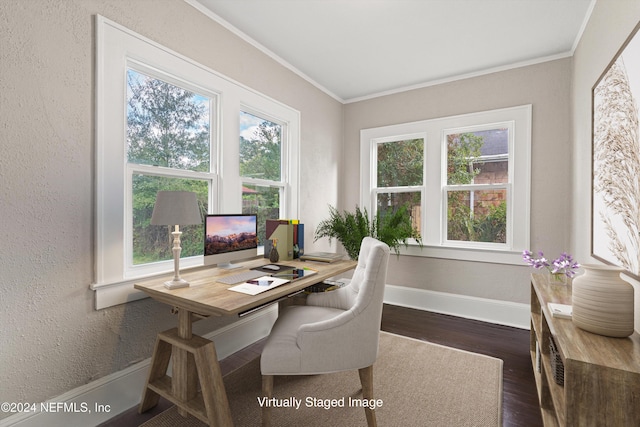 office featuring dark hardwood / wood-style flooring and crown molding