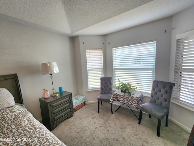 carpeted bedroom with a textured ceiling