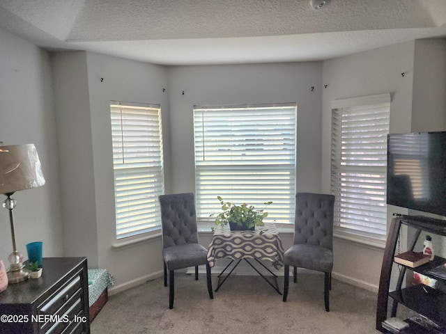 living area with light colored carpet and a textured ceiling