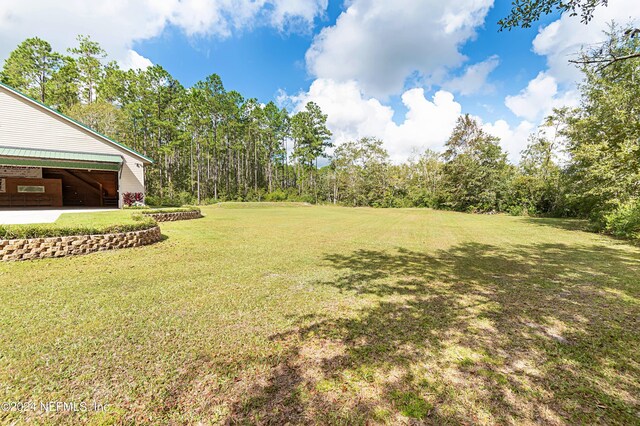 11111 Apache Ln, Glen St Mary, FL 32040 - view of green lawn