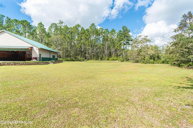 11111 Apache Ln, Glen St Mary, FL 32040 - view of green lawn