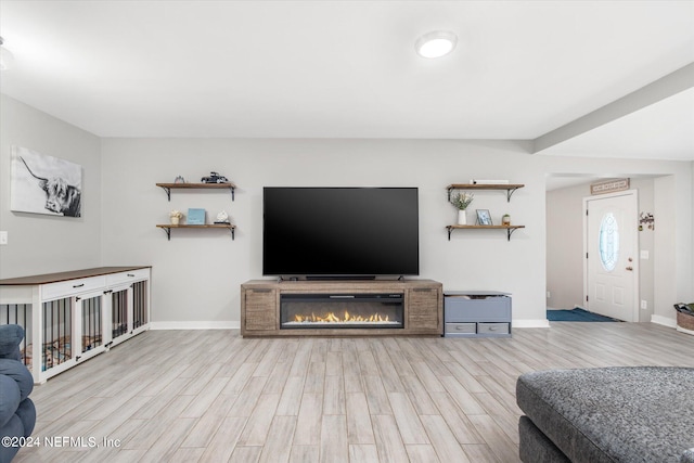 living room featuring light hardwood / wood-style flooring