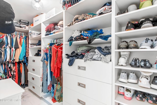 view of spacious closet