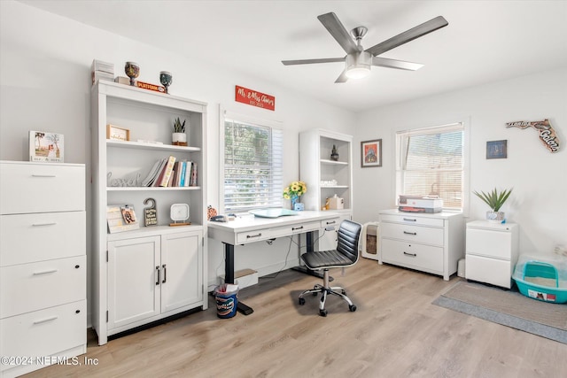 office featuring light hardwood / wood-style floors and ceiling fan