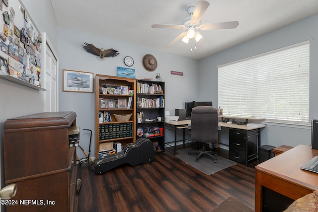 office area featuring ceiling fan, dark hardwood / wood-style floors, and a textured ceiling