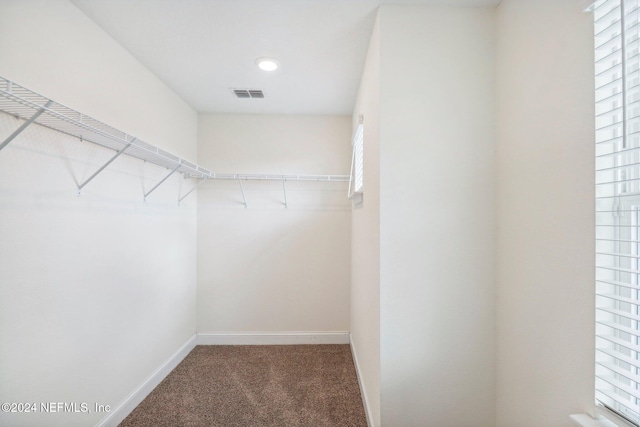 270 Clifton Bay Lp, Saint Johns, FL 32259 - walk in closet featuring carpet flooring and visible vents