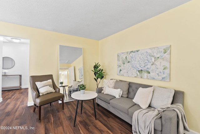 living room featuring dark hardwood / wood-style flooring