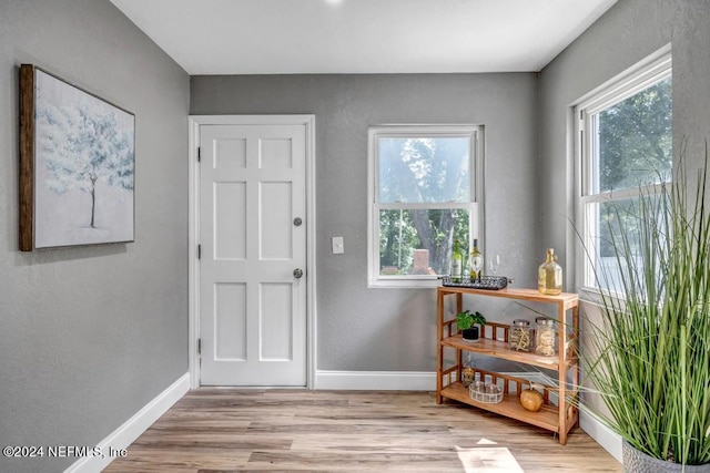 foyer with light hardwood / wood-style flooring