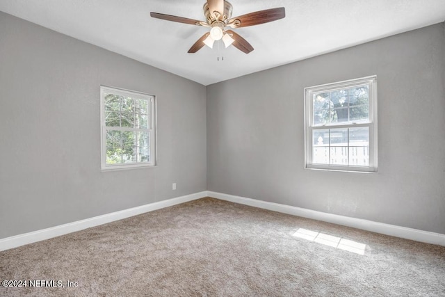 spare room with carpet flooring, ceiling fan, and plenty of natural light