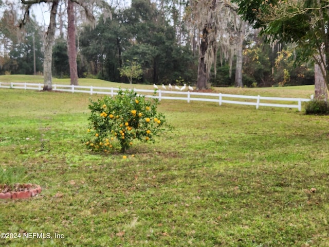 view of yard featuring a rural view