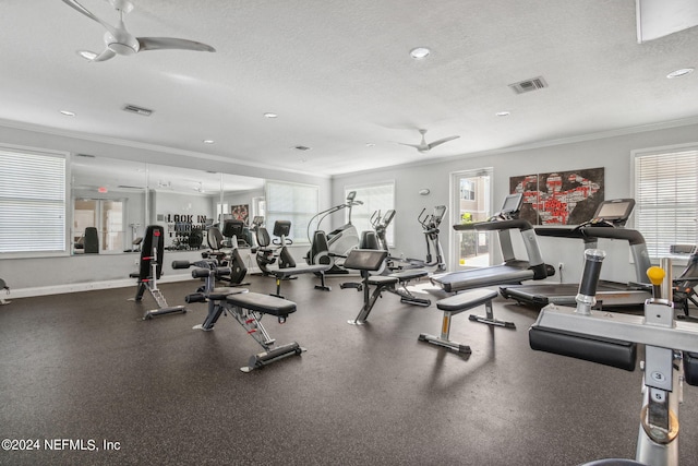 workout area featuring a textured ceiling, plenty of natural light, and ornamental molding