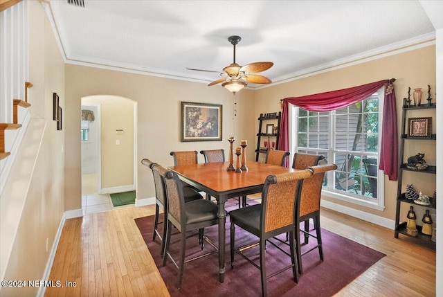 dining area featuring light hardwood / wood-style floors, ceiling fan, and crown molding