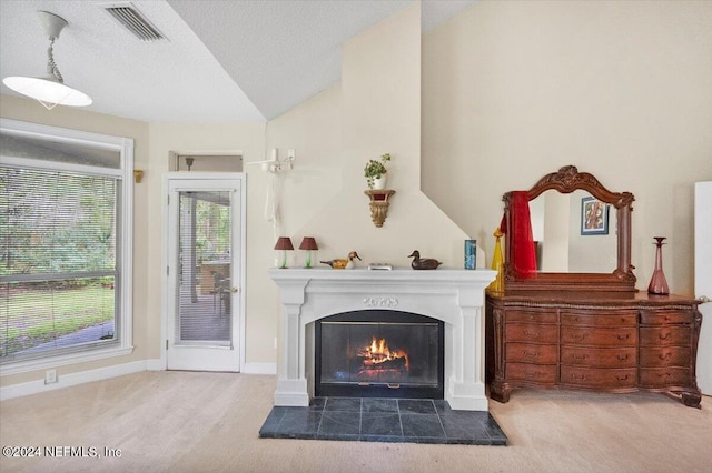 room details featuring carpet, a textured ceiling, and a tile fireplace