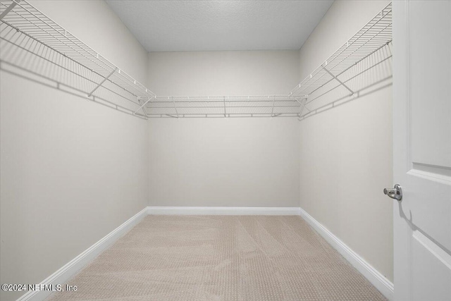 walk in closet featuring carpet flooring