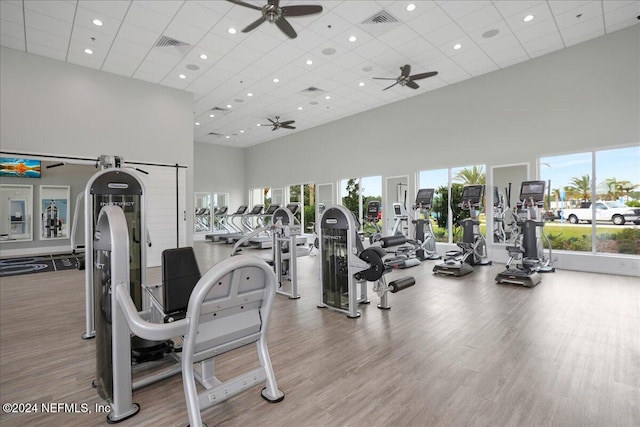 gym featuring light wood-type flooring, a drop ceiling, a towering ceiling, and ceiling fan