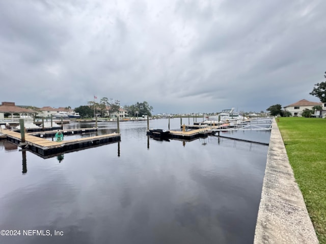 dock area with a water view