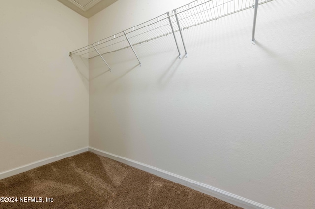 spacious closet featuring carpet