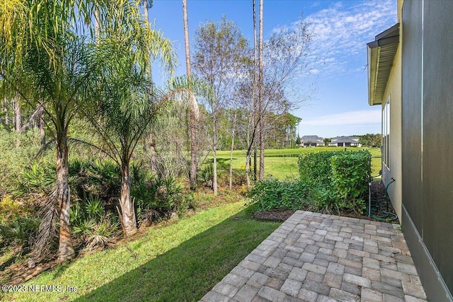 234 Wingstone Dr, Jacksonville, FL 32081 - photo 27