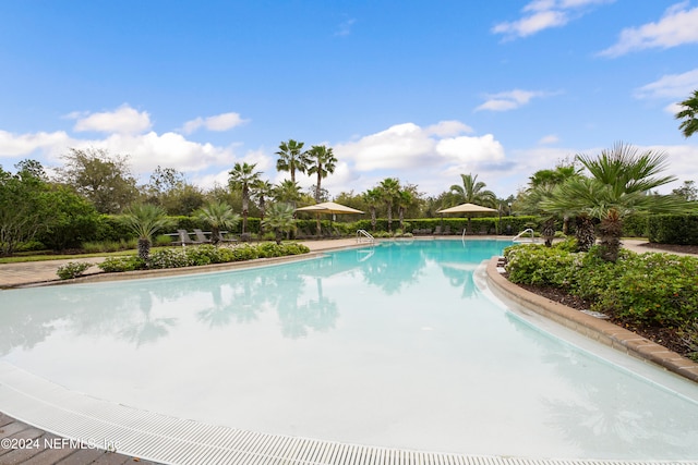 view of swimming pool