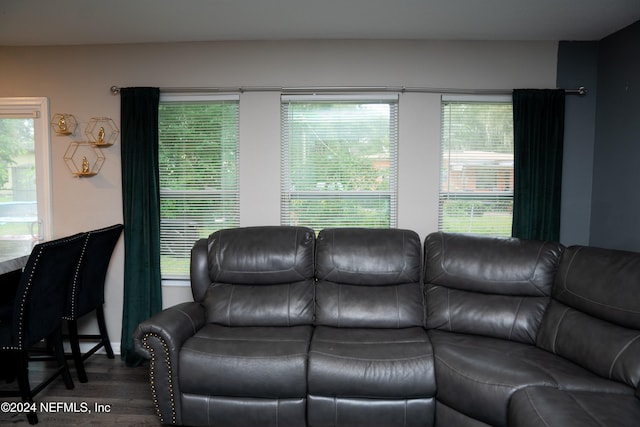 living room featuring hardwood / wood-style flooring