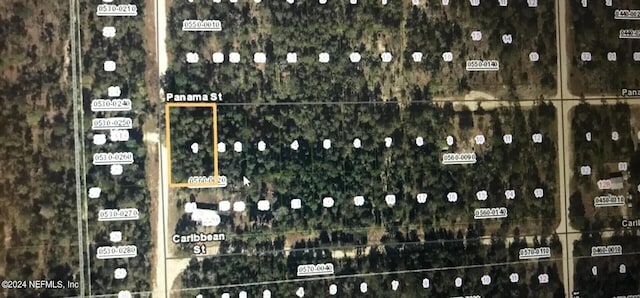 0 Panama St, Interlachen FL, 32148 land for sale