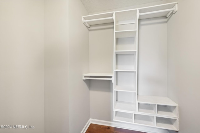 spacious closet with dark wood-type flooring