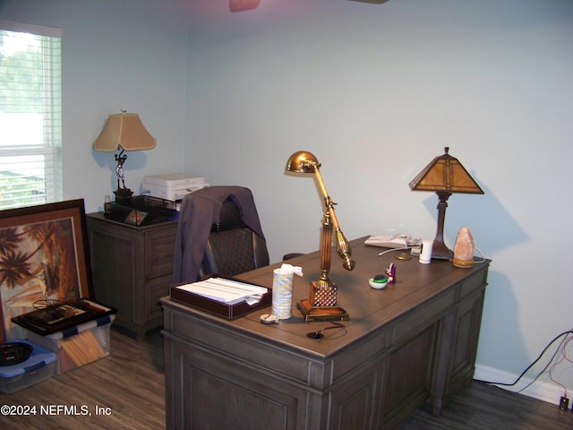 office with dark hardwood / wood-style floors