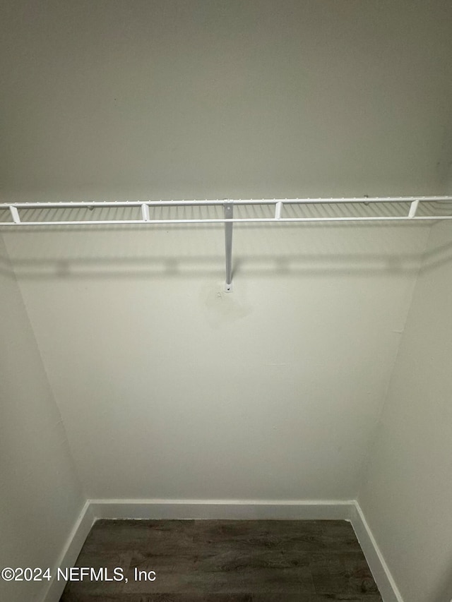 spacious closet featuring wood-type flooring