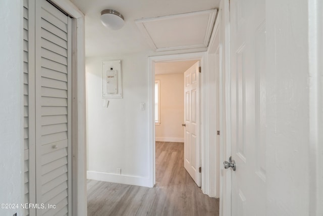 hall with light hardwood / wood-style flooring