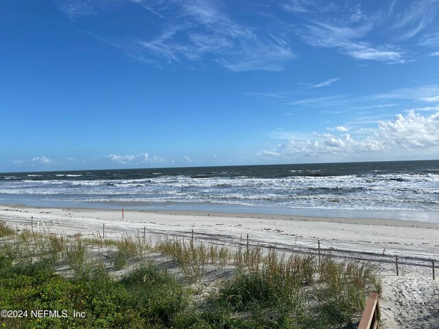 water view featuring a beach view