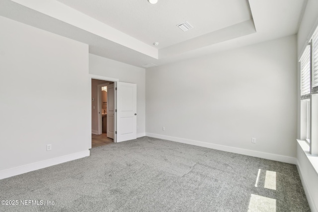10266 Element Rd, Jacksonville, FL 32256 - spare room with carpet floors, a raised ceiling, and baseboards